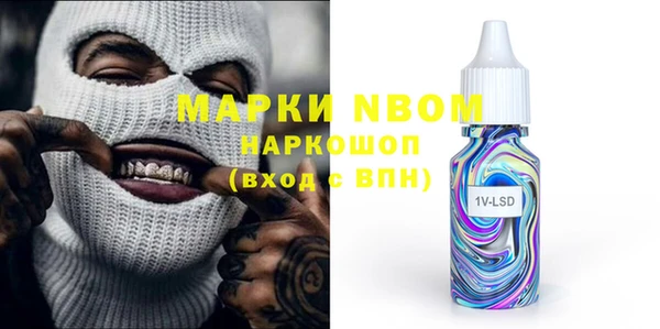 гидра Елизово