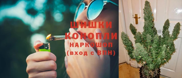 гидра Елизово