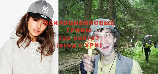 кокс Ельня
