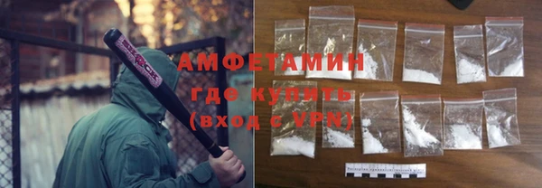 гидра Елизово