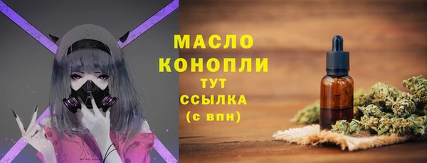 гидра Елизово