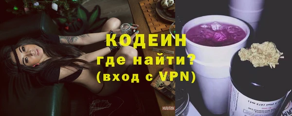 гашик Заводоуковск