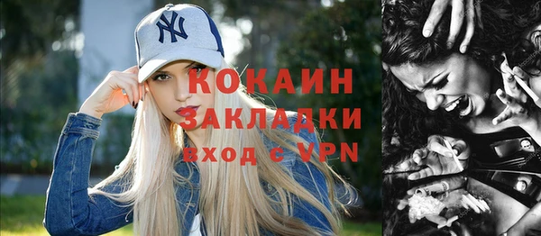 кокс Ельня