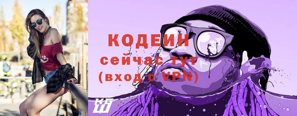 гидра Елизово